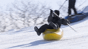 Snowboarding Winter Sports GIF by All-Round Champion