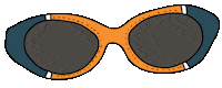 rio de janeiro sunglasses Sticker by Salinas