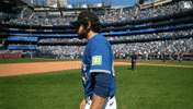 Blue Jays Win GIF by Toronto Blue Jays