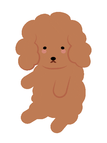 Dog Poodle Sticker by allpears