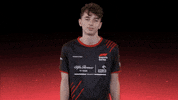 sauberesports shrug oh well sauber f1esports GIF