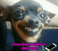 Durbek GIF