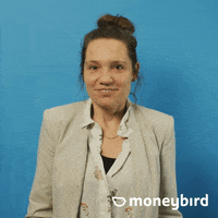 Moneybird moneybird GIF