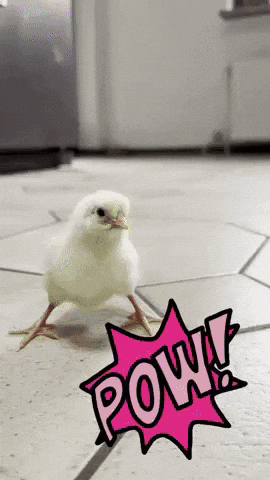 Check Wow GIF
