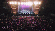gippslandcountrymusicfest country music cowboy live music music festival GIF