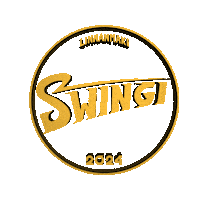 Theme Park Swing Sticker by Linnanmäki