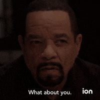 Law And Order Svu GIF by ION