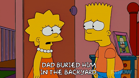 Lisa Simpson GIF by The Simpsons