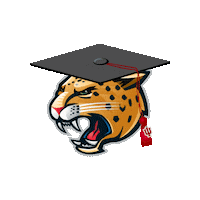 Iupui Grad Sticker by IUPUI