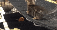 GIF by Mashable