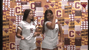 Cuc GIF by CUCougars