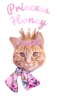 Cat Princess Sticker