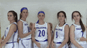 GIF by CUWFalcons