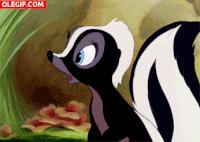 flor GIF
