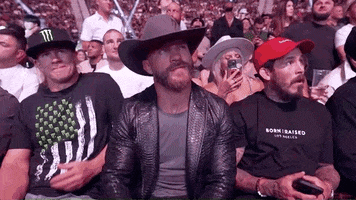 Mixed Martial Arts Sport GIF by UFC