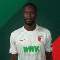 France Bundesliga GIF by FC Augsburg 1907
