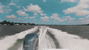 AtlanticSIR atlanticsir atlanticsothebys asirvibe GIF