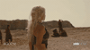 Hbo GIF by Game of Thrones