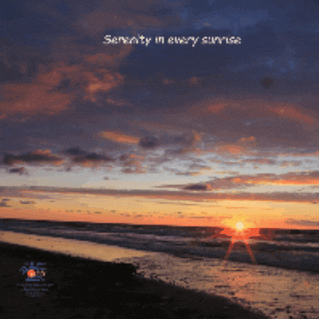 thewhitesands giphygifmaker thewhitesands pointpleasantbeach whitesandsppb GIF