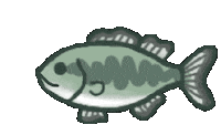 星 Sticker