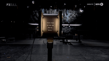 p3 gull p3gull 2018 GIF by NRK P3