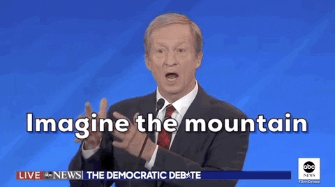 Democratic Debate Tom Steyer GIF by Election 2020