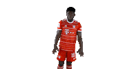Te Amo Love Sticker by FC Bayern Munich