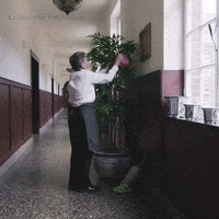 Working Clean House GIF by La Guarimba Film Festival