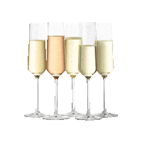 Champagne Bubbles Sticker by Rava Wines