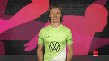 Vfl Wolfsburg Hello GIF by Bundesliga