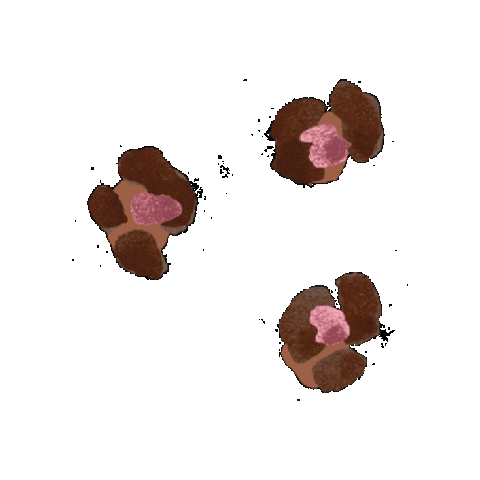 Vandenbroek giphygifmaker jubel jubelgirls jubelgirlsfashion Sticker