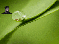 Franchise Unternehmen GIF by FranchiseONE.de