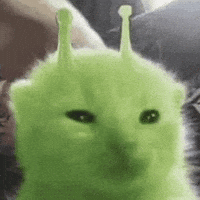 Ky GIF
