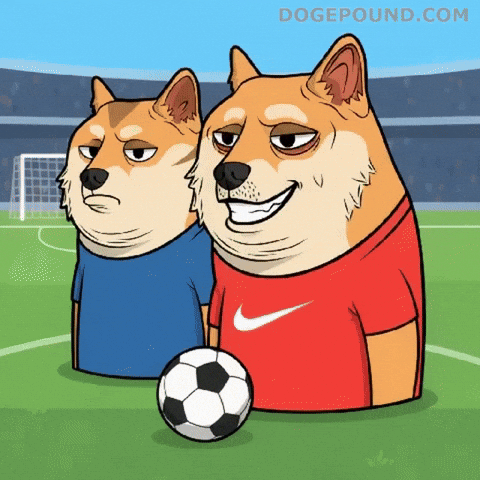 Sad Football GIF by Doge Pound