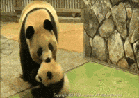 baby mom GIF
