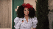 Happy Comedy GIF by ABC Network