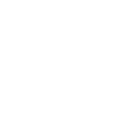 Christmas Noel Sticker