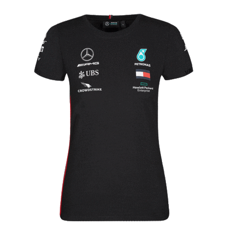 MercedesBenzTurkey giphyupload f1collection Sticker