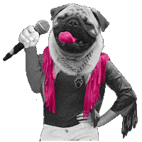 Comedy Pug Sticker by EdinburghFringeFestival