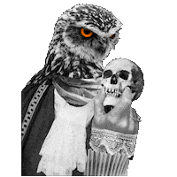 Actor Owl Sticker by EdinburghFringeFestival