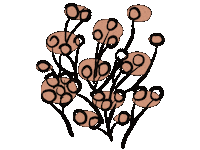 Pink Flower Sticker