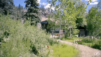 TheBroadmoor travel vacation luxury hotel GIF