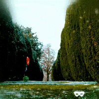 Playing Hide And Seek GIF by The Masked Singer UK & The Masked Dancer UK