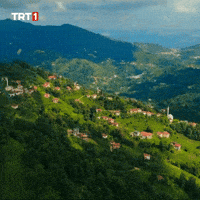 Good Morning Relax GIF by TRT