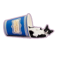 cat coffee Sticker