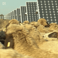 Fear Crowd GIF by Bayerischer Rundfunk