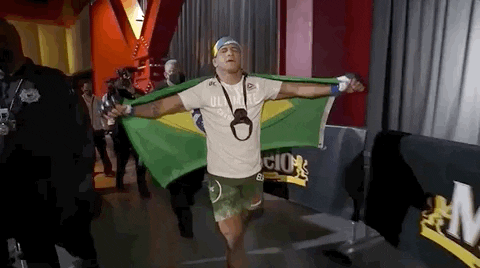 Sport Mma GIF by UFC