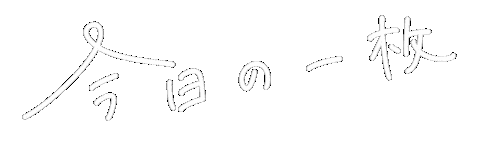 ほわいと Sticker