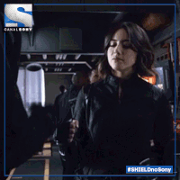 shieldnosony GIF