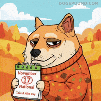 Unimpressed Go Away GIF by Doge Pound